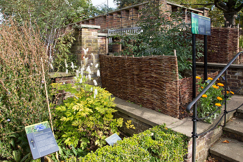 Horniman Museum and Gardens