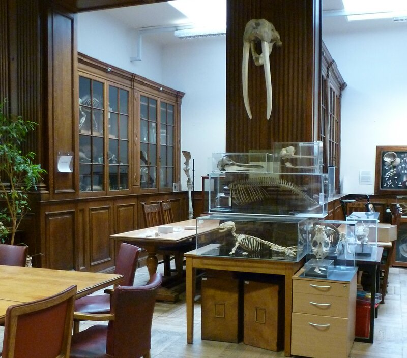 Museum of Life Sciences, King’s College London